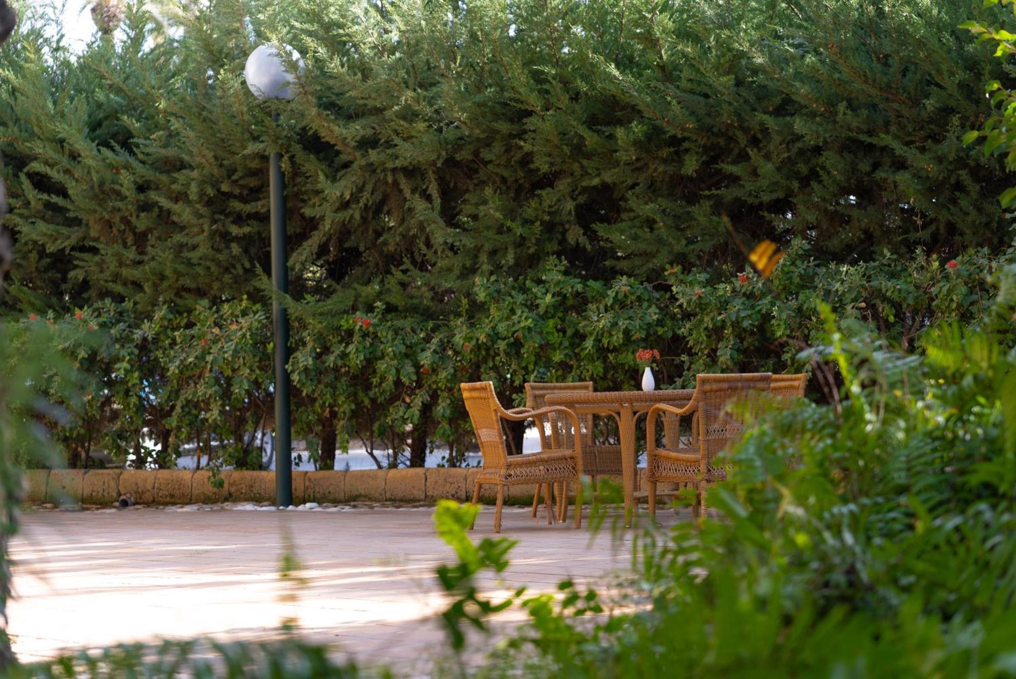 Jardin Milenio Hotel Elche Exterior photo